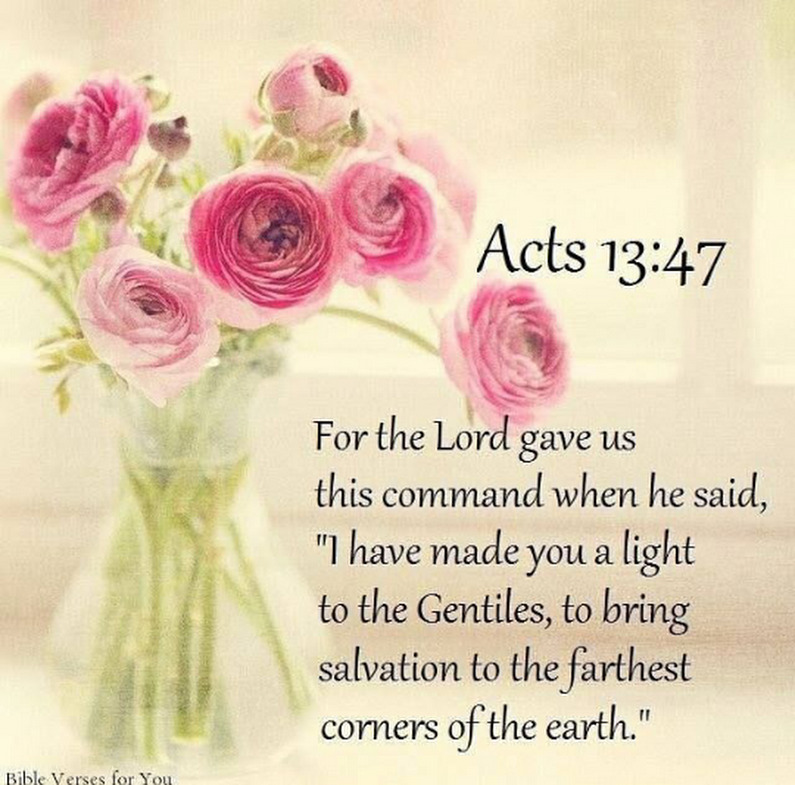 SunitaHines's tweet image. #Pray🩷🤍
Dear Lord God
I lift up those called to ministry.
I thank you for your Spirit, who goes before them, leading them, removing barriers, and performing miraculous functions so they can successfully complete the work you called them to do for your glory
#InJesusNameAmen