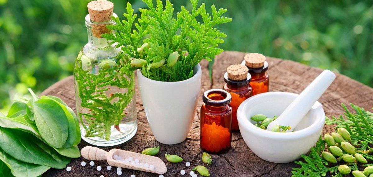 Janiffe12209797's tweet photo. Herbal medicine is an ancient practice used for centuries to treat various ailments. Today, herbalist Melbourne is working
https://t.co/kgXrilALDT
#herbalist #medicine #benifits https://t.co/XnLykCSRr2