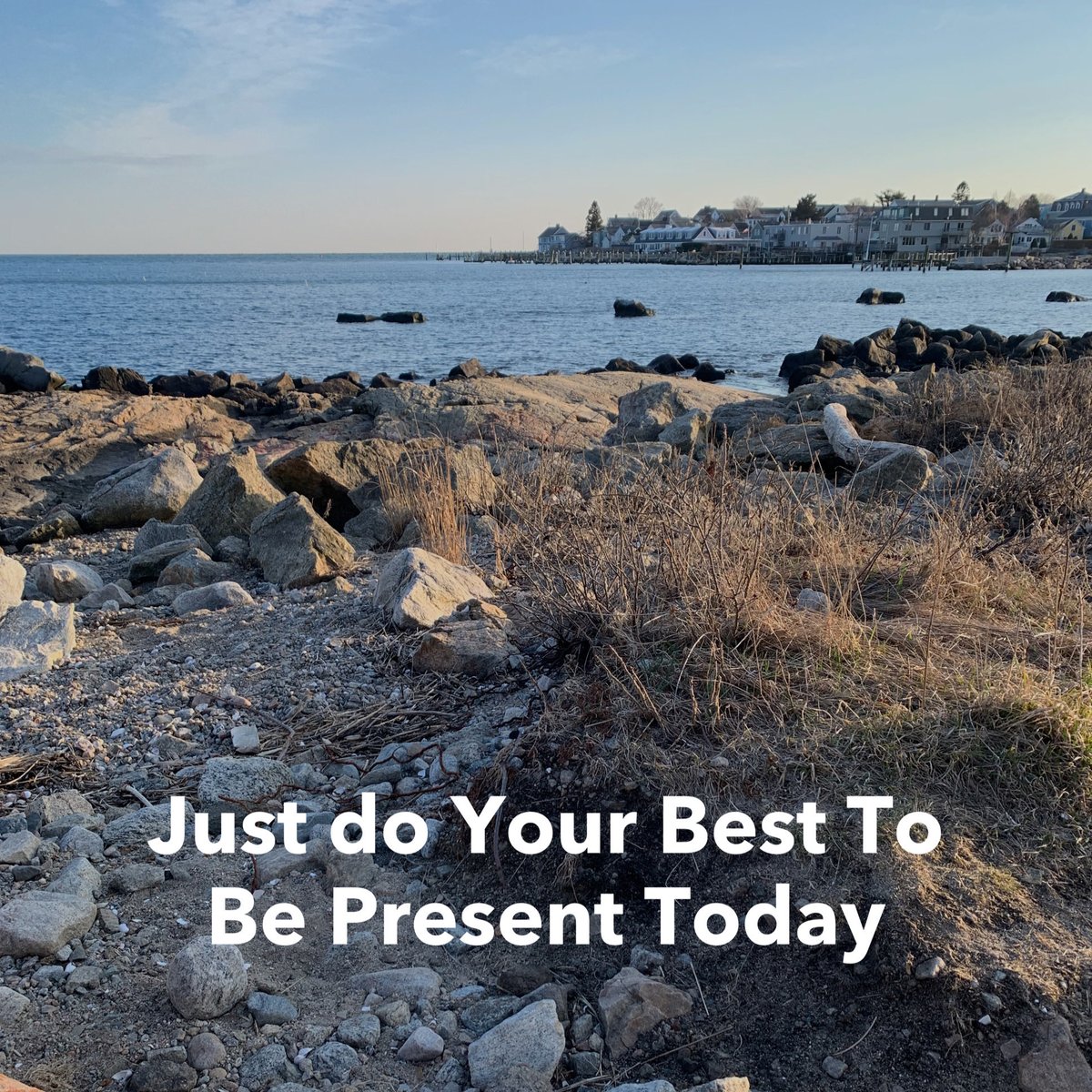 sandigoldauthor's tweet photo. #love #beingpresent #aware #mindful #available #writerscommunity #readersandauthors https://t.co/jPO5e5xChB