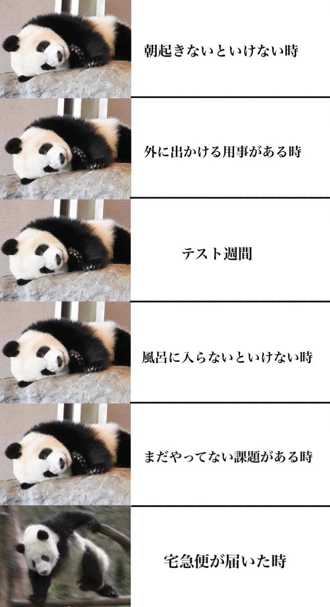 国民の99％が経験あるかも！？ダラダラしちゃう時のシチュエーション。