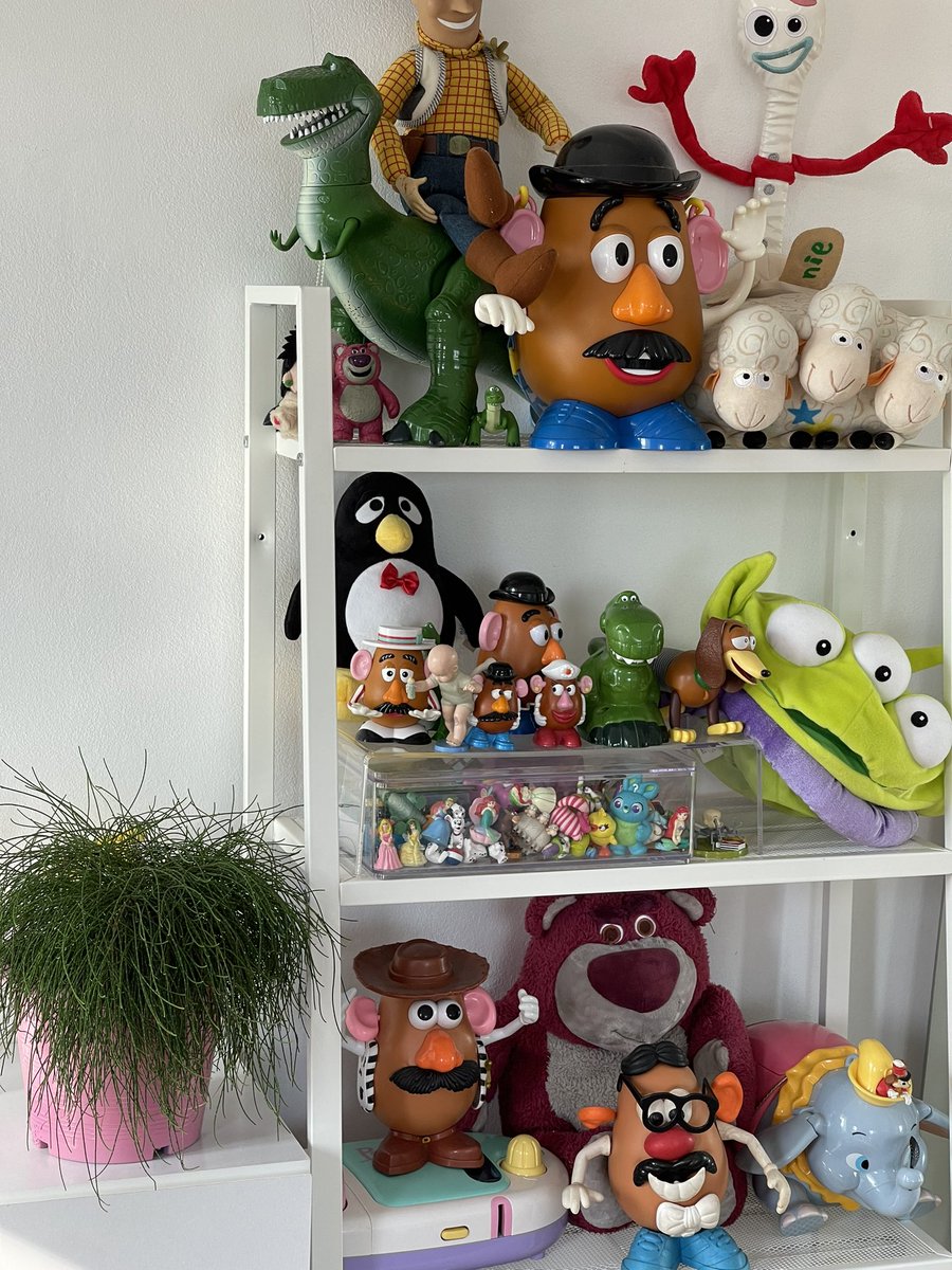 Blossom bloom 🌺🌼💐🌻🌈🌸🌷