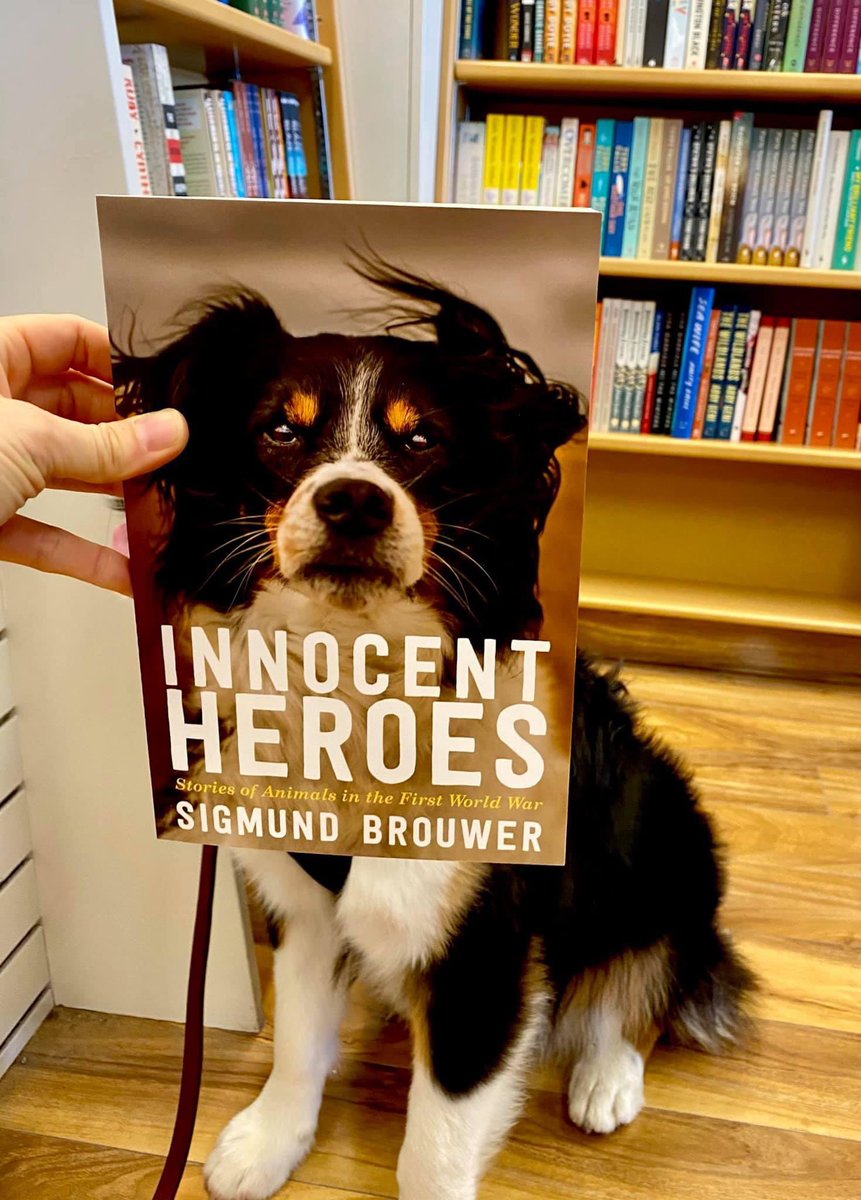 book_jenn's tweet photo. Aug. 27th, 2020. I give you, A Book Face…with a dog!
If you walk into the store with this much cuteness, the paparazzi will descend!
.
.
#bookface #bookfacefriday #bookfacechallenge https://t.co/dhGvNpK79c