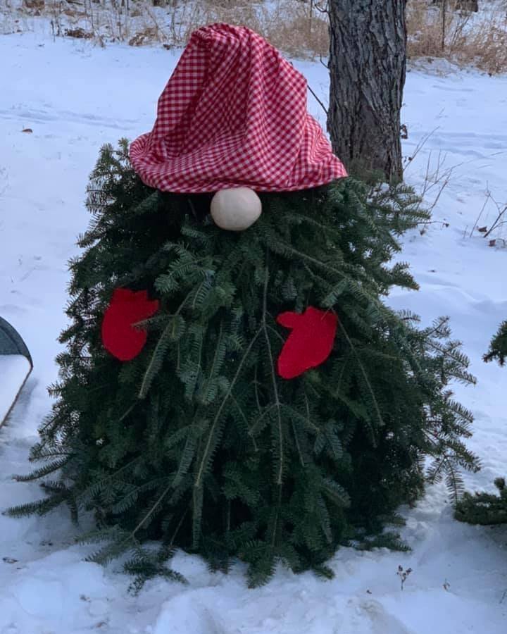 FPYCamp's tweet photo. Happy St Patrick's Day - no, no Leprechauns. In northern MN, no such thing. But Ghomes, that's a different matter - they hide quite well @FPYCamp #GhomesRreal #FPYCresidence #FPYC https://t.co/pZ7T6xgbNJ