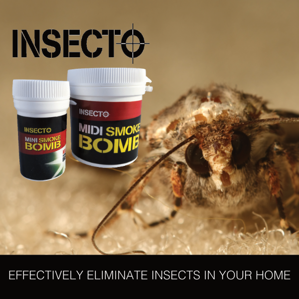 RugRemedy's tweet photo. The Moths are moving in! - https://t.co/BUBpQRg5RY

Get our TRIPLE WHAMMY Bundle and rid your home of moths that will feast on your rugs, carpets and clothes. https://t.co/AgLBGmyXjq

#pests #MothDamage #Carpets #Rugs #ProtectYourRugs #ProtectYourClothes #RugRemedyUK https://t.co/cxoTPeed4b