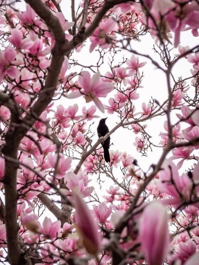 mariacastro1111's tweet photo. Hoy amanecí con los ojos en el corazón. Todo lo veo hermoso, quiero a todos, o bueno a casi todos.Jaja.

Un trino de amor para ti. https://t.co/nKoexyak2U