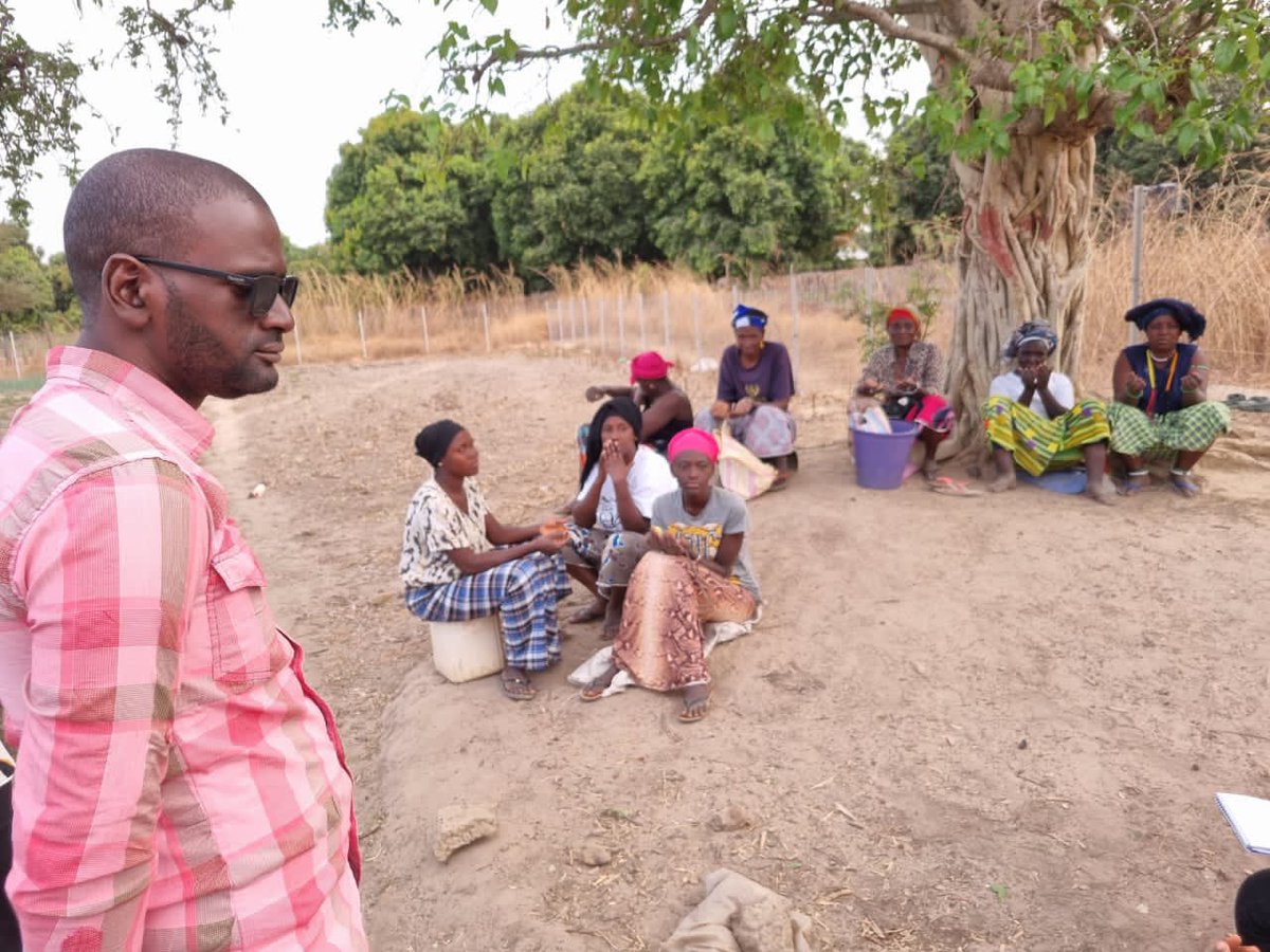 National Youth Parliament-The Gambia tweet media