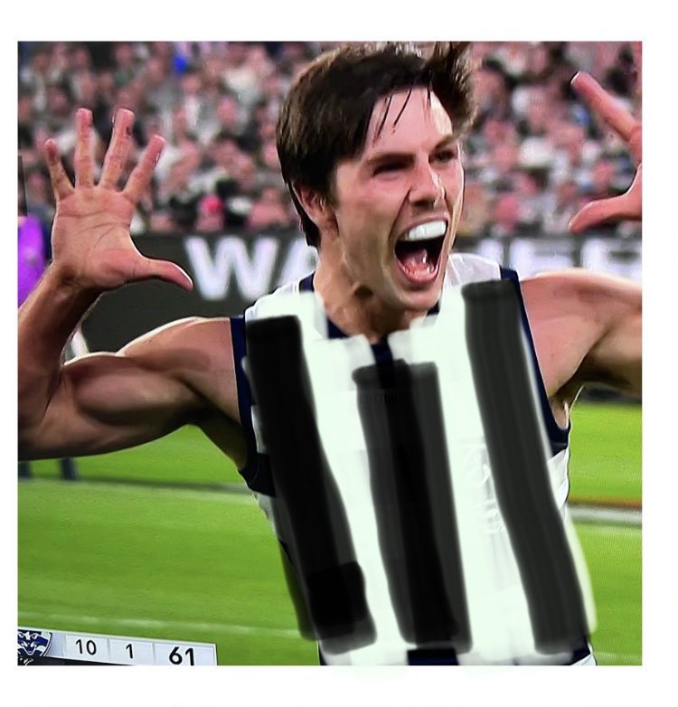 MatZukauskas's tweet photo. Free Kick Geelong #AFL #AFLCatsPies https://t.co/SQ0bmVjmN2