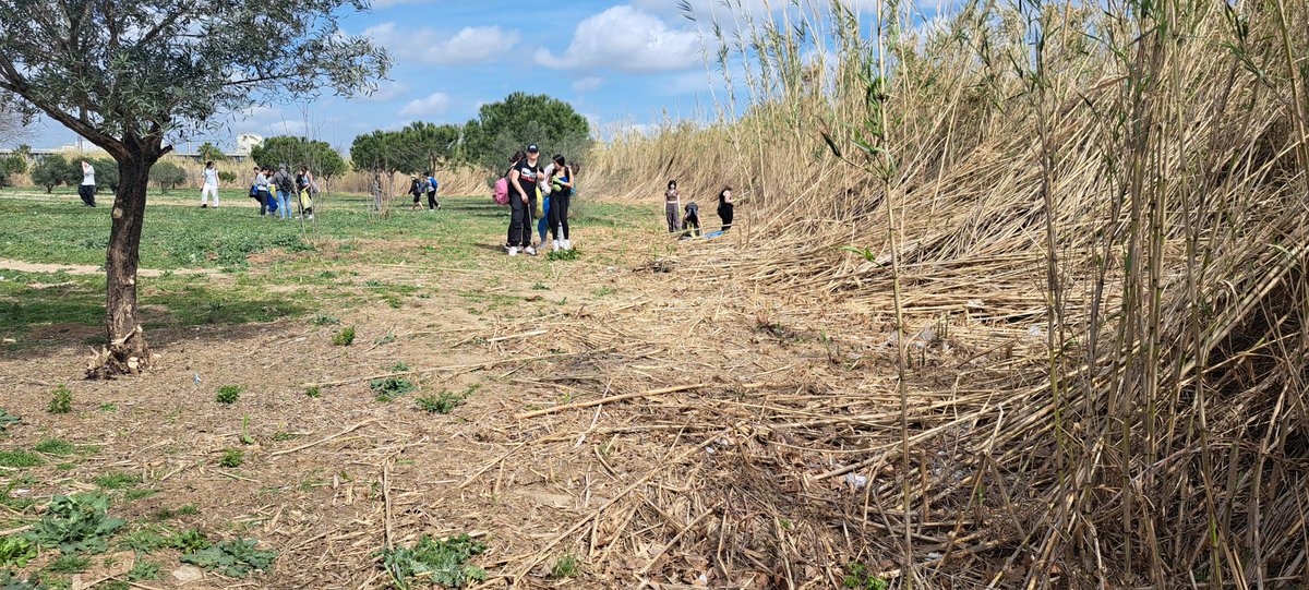 Avui fem recollida de #residus a #Reus amb ~100 alumnes de 4t d'ESO de <a href="/SantJosepReus/">Col·legi Sant Josep</a>

#CatalunyaCleanUpChallenge #NATURAsenseBROSSA #plastiXnatura #SlowPickUp #InLoveWithNature
#entitatsambientals

#ProyectoLIBERA #HéroesLIBERA #Basuraleza