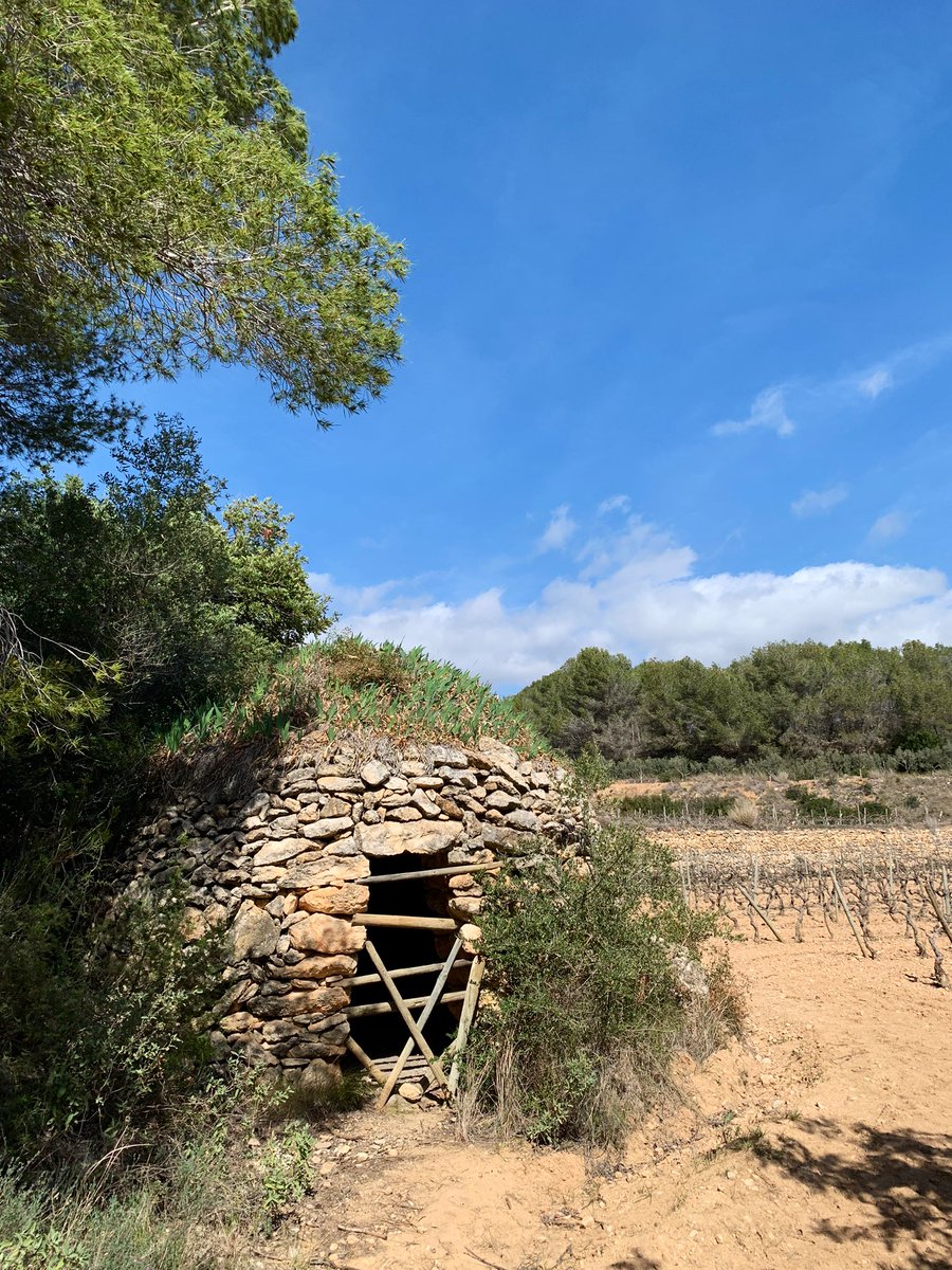 JordiEroles's tweet image. Passejant pel jardí de casa. Aquest ès el país que tinc, que tenim, i és el país que vull preservar, que posi en valor el nostre patrimoni natural, el nostre patromini agrícola i rural #Ribes #RibesDelGarraf #SantPereDeRibes #Garraf #MarinaDelPenedès #Penedès #Catalunya