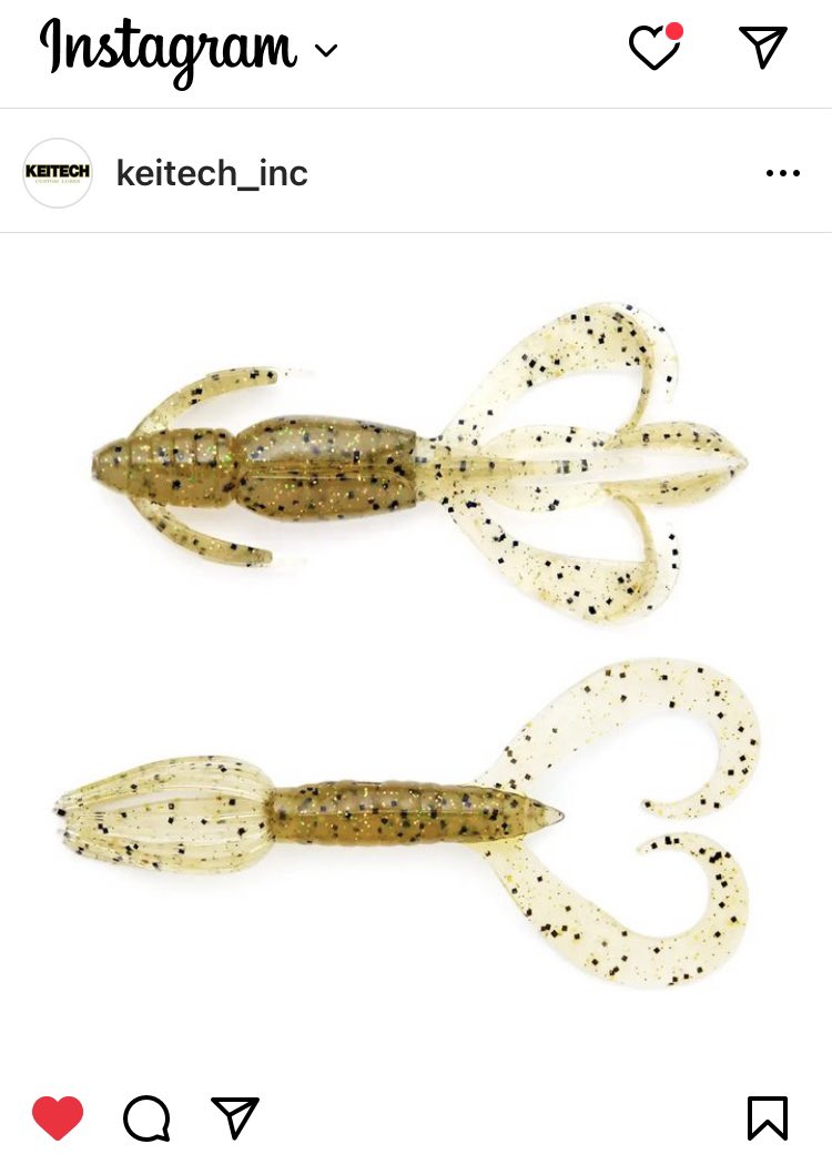 morizo57's tweet image. チニング勢に朗報。#532 ジンジャーシュリンプがクレイジーフラッパー2.8”／リトルスパイダー3”に加わるとのことですよ。
フレーク少なめの金トラ感。廃番直前に大量買いしたのを大切に使っていましたがこれで安心です🙏
#ケイテック #KEITECH #チニング