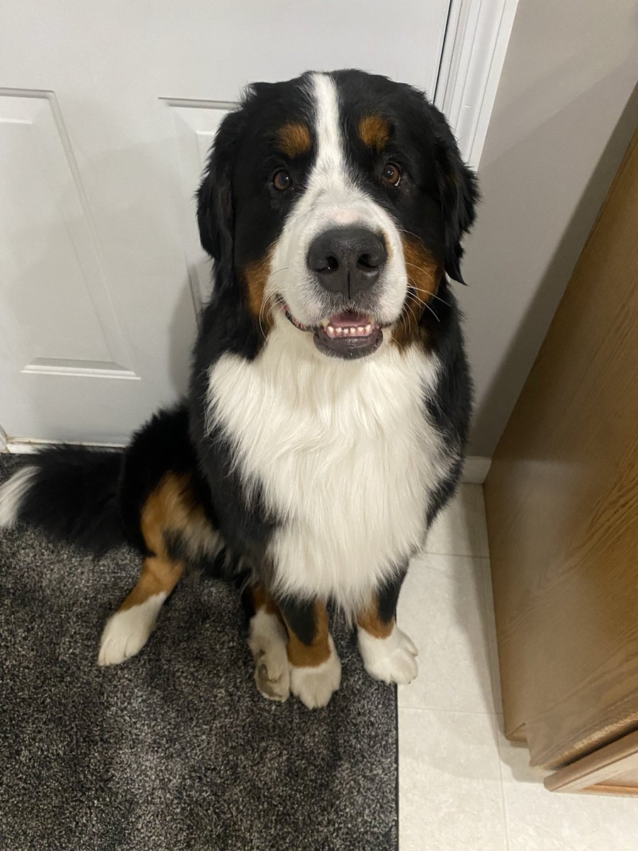 Is he from the Cleveland area?!

Our boy is!