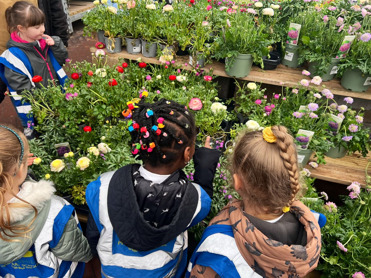 missjacksoneyfs's tweet photo. A big thank you to @BandQ in Charlton for welcoming us to their garden centre this morning. Reception have been learning about bees and for their project outcome they will be planting a bee friendly garden at @WoodhillSch to protect bees and their habitat 💛🌼🐝 @IPAT_Edu https://t.co/tDMeKCpqFc