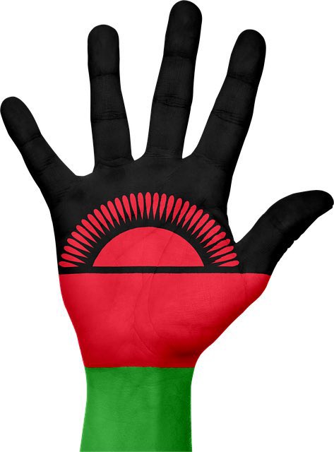 I am an African, and #IstandwithMalawi