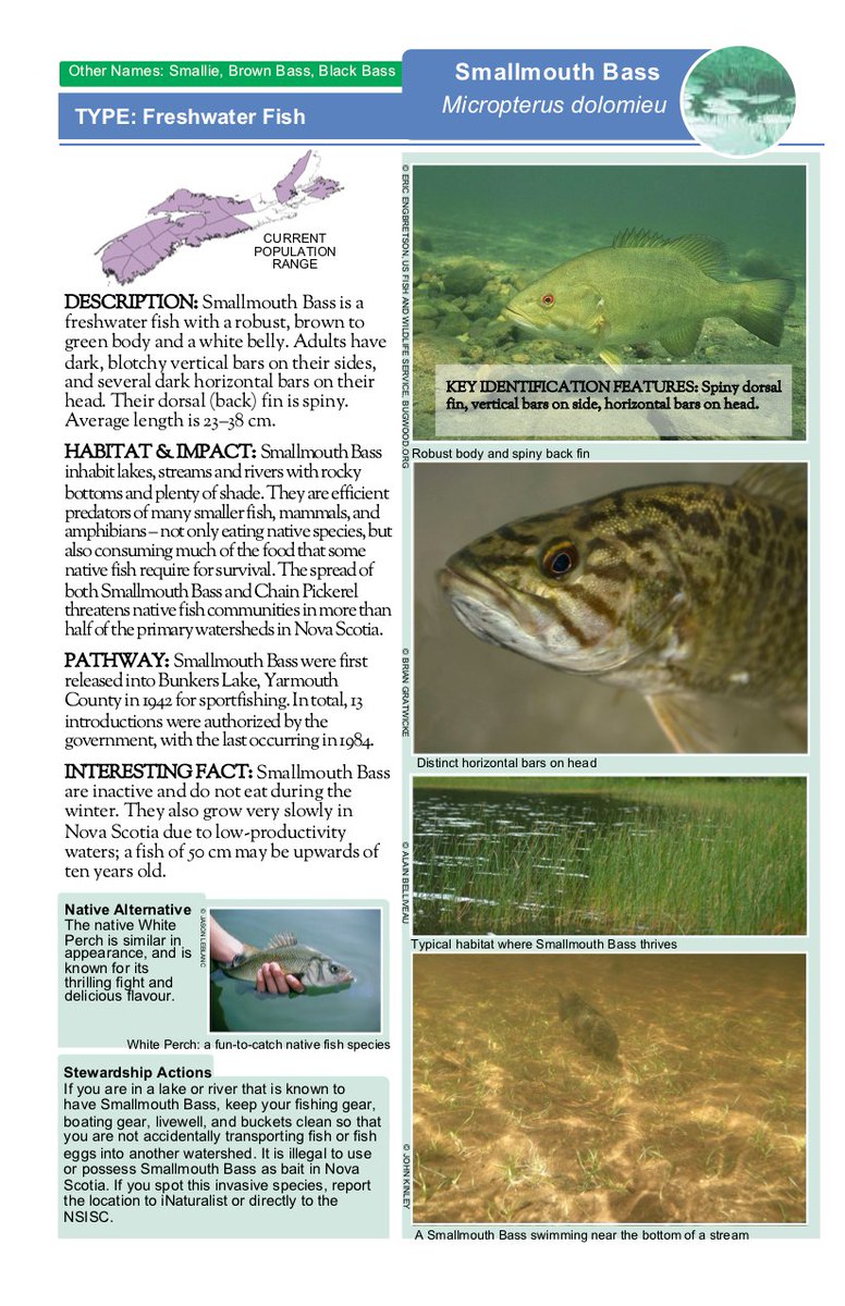 Matt Dort tweet media