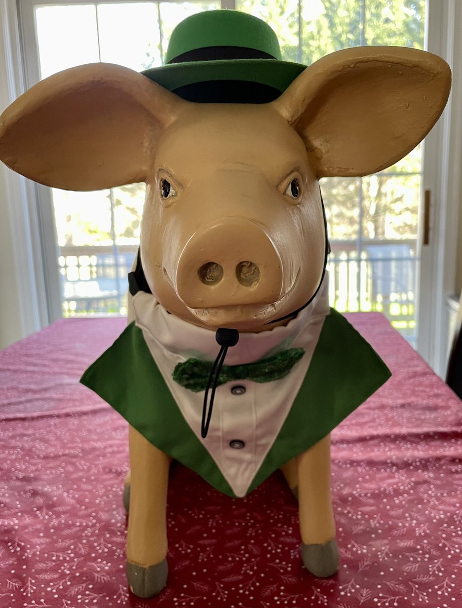 BillFinegan's tweet photo. Hello world. I’m quite Ham-some aren’t I? Happy Saint Patrick’s Day! Follow my adventures this weekend @ #WheresWilbur …… https://t.co/Bnd576QTn0