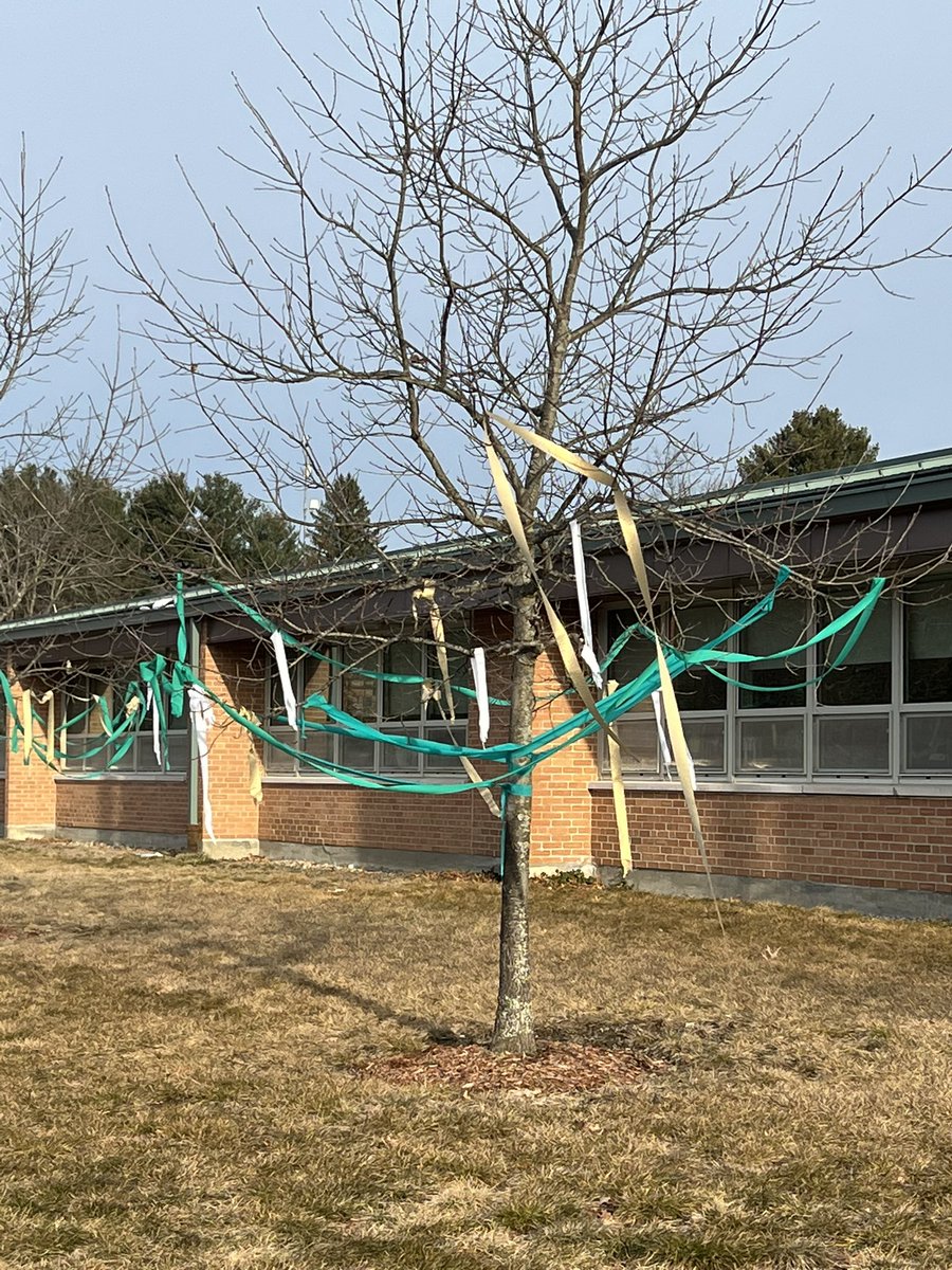 Linda Broderick tweet media