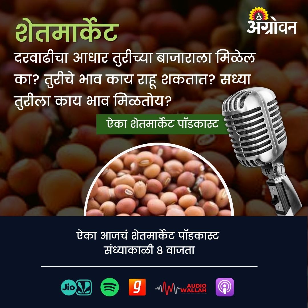 AGROWON's tweet photo. दरवाढीचा आधार तुरीच्या बाजाराला मिळेल का? तुरीचे भाव काय राहू शकतात? सध्या तुरीला काय भाव मिळतोय?
ऐका आजचं शेतमार्केट पॉडकास्ट संध्याकाळी ८ वाजता
https://t.co/vbl0qxVb6J
#Agrowonpodcast #Podcast #shetmarket #Farmer #Turmarket https://t.co/RLsR0Tof37
