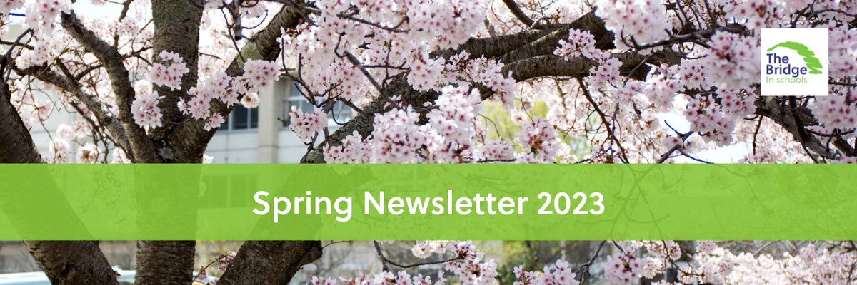 Bridge_Bristol tweet media