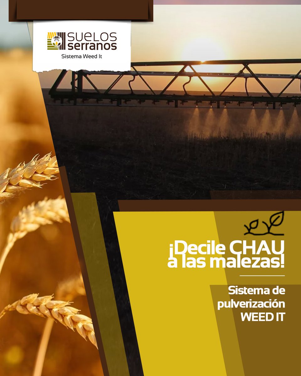 WEED-IT es la tecnología de detección y eliminación de malezas más precisa, rápida y fácil de usar que existe. Como pulveriza solo sobre las malezas, ¡le ayuda a ahorrar hasta un 90 % en fitosanitarios! 🌱🚜
¡Es hora de darle a tu campo lo que necesita! ✅
Comunicate para + INFO.