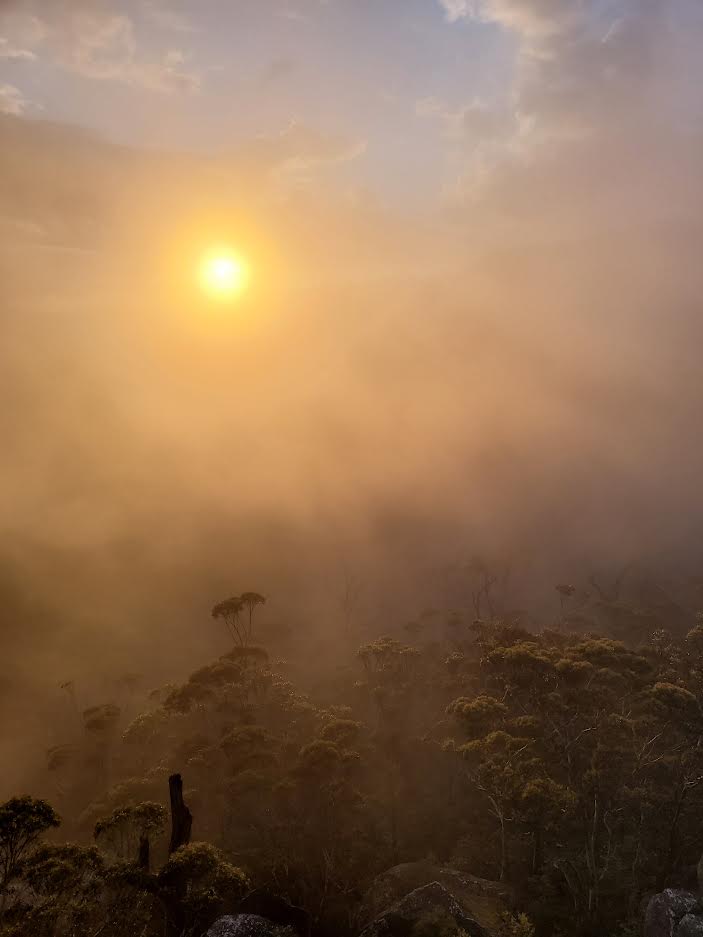 GM☀️

It's your day today. Believe it