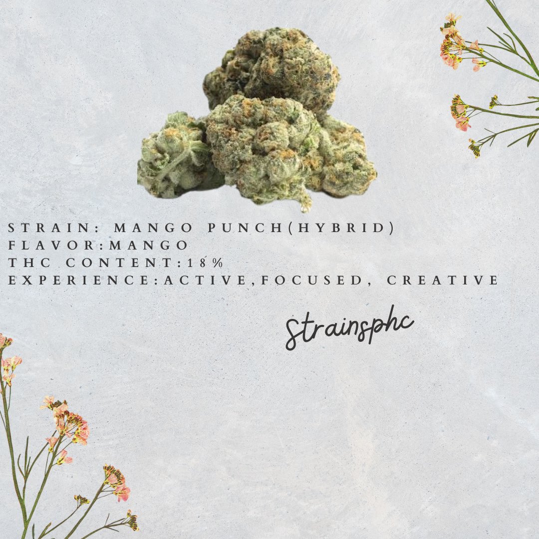 strainsphc's tweet photo. Experience everything with us….💨🖤💚 https://t.co/7nRjGGZeWn