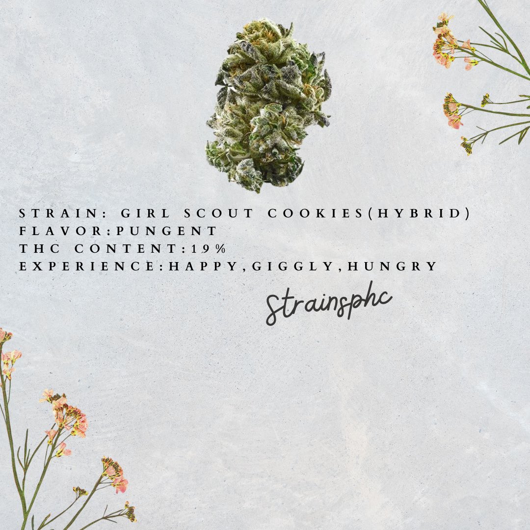 strainsphc's tweet photo. Experience everything with us….💨🖤💚 https://t.co/7nRjGGZeWn