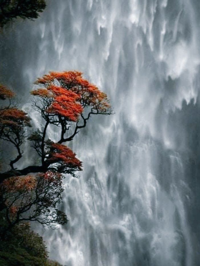 Friday,waterfall 🤍🟠🤎💦
Good morning world @/🌐🌬🌞