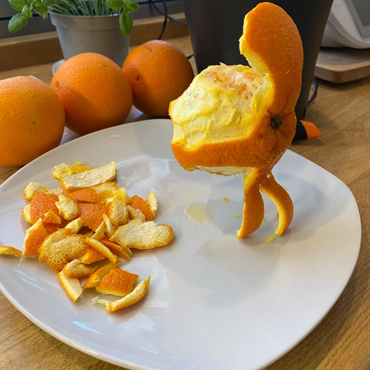Carl_m101's tweet photo. Gm everyone ❤️

Trying to make fresh juice today but the orange keeps running away 🤣 https://t.co/AENSdw3D9C