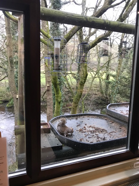 MurrayEnviro's tweet photo. in order to understand the land contamination risk and provide focused next steps. We are keen to find out what your approach to agricultural land is, please comment below!
#contaminatedland #meteam #alwayslearning #agriculture #riskassessment #peakdistrict #nature #birds (2/2) https://t.co/Ql0ffts7Lg