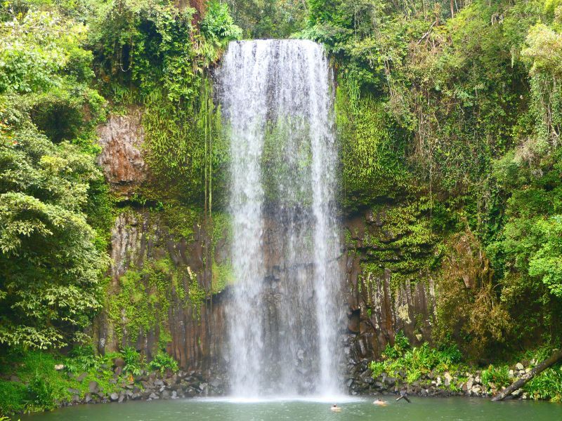 AnnetteJonesBiz's tweet photo. The whole of Atherton Queensland abounds in the most stunning, natural beauty. And if you love waterfalls, and want to follow the waterfall circuit Atherton Tablelands then you won’t want to miss this area. Read more here 👉🏻 https://t.co/Toi2YslvNu
#athertontablelands #waterfalls https://t.co/D76qolJ317