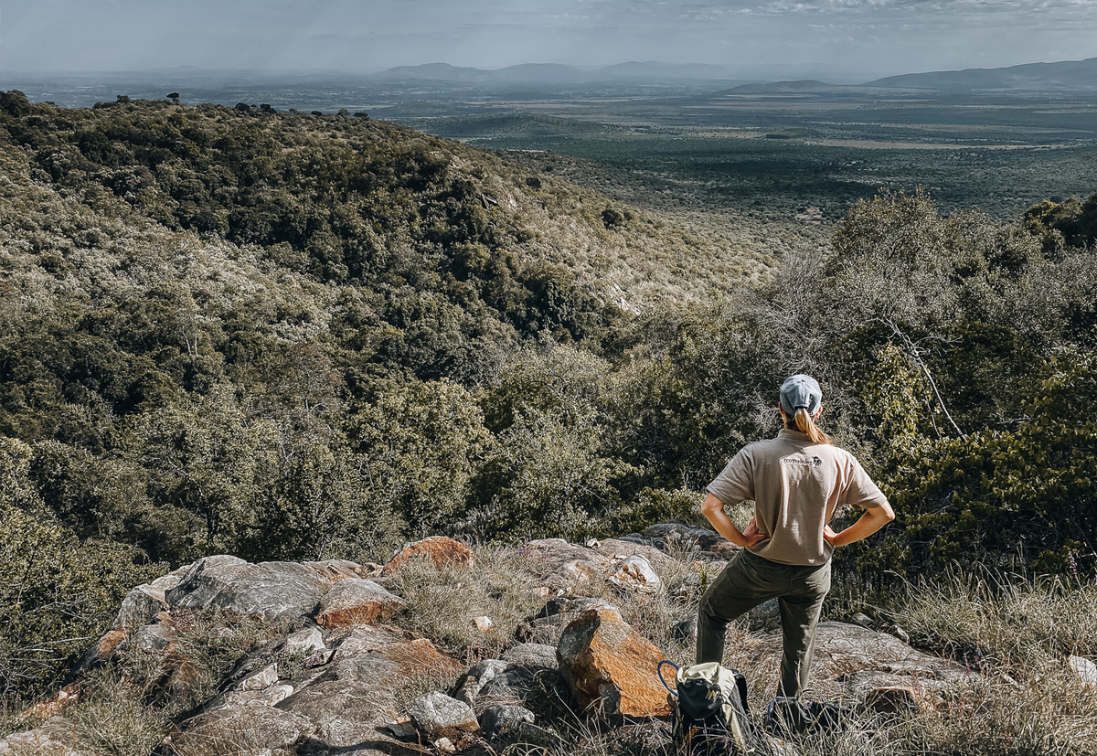 EcoTraining's tweet image. In today's blog, we look at the purpose of a safari field guide and its role in conservation. Think Africa, wildlife and safaris!

Read our latest blog, 'The Purpose of a Safari Field Guide in Conservation', HERE: 👉ow.ly/xRVQ50NjQq6👈

#FGASA #EcoTraining #trainingprovider