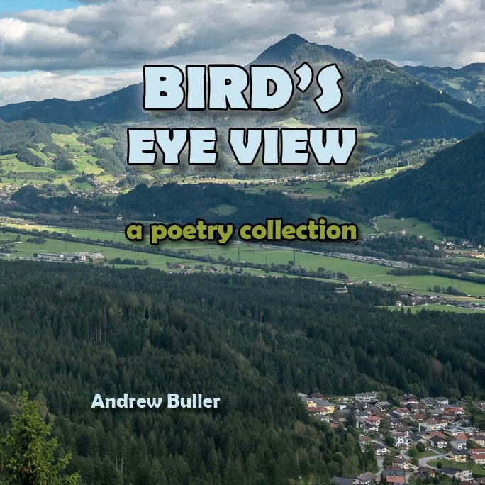 ABullerAuthor's tweet photo. #poetryfriday 

Poem from my new poetry collection Bird's Eye View that is out now...
https://t.co/Cm0GIje79c
https://t.co/bLCwzIWbdL

Narration: https://t.co/gLfzA9yhZn

#birdseyeview #poetrycollection #indiepoetryplease #poetsofinstagram #blackbird #poemoftheday #poetrylovers https://t.co/ADB9fmzgQu