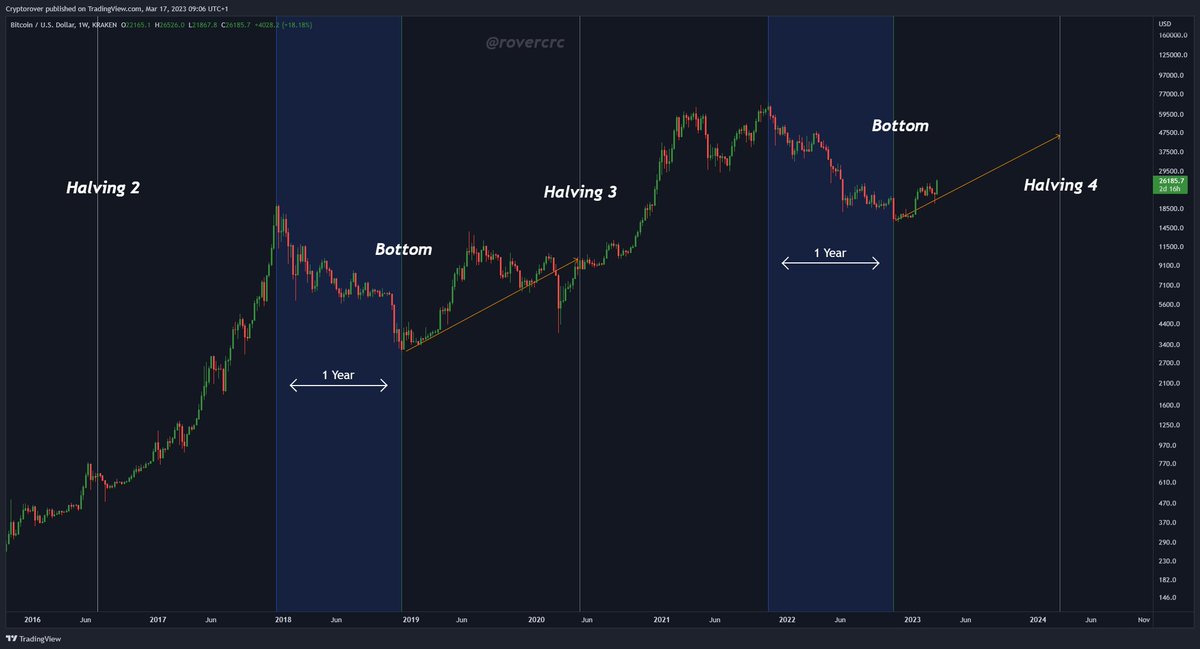 Crypto Rover tweet media