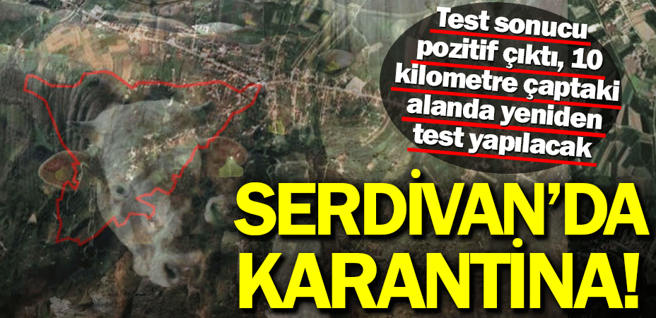 Serdivan'da karantina! Sakarya'da şap hastalığında ilk vaka tespit edildi, 10 kilometrelik alanda inceleme! Detaylar 👉 medyabar.com/haber/14294493…