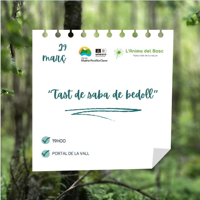 VMPC_Andorra's tweet photo. Veniu a descobrir la saba de bedoll i les seves propietats de la mà de la Laurence, de L'anima del bosc. La xerrada anirà acompanyada d'un tast de saba.
📆 29 de març
📍Portal de la Vall (c/Prat de la Creu, 74-76, baixos. Andorra la Vella)
⏱ 19.00
Us esperem!!! https://t.co/5D27B3CVpo