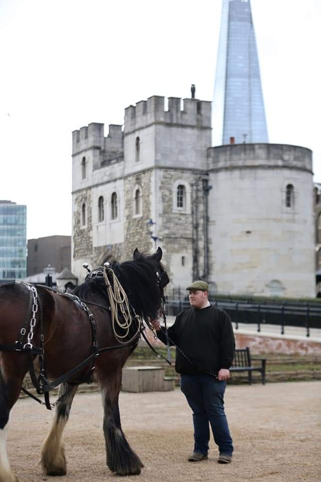 EquipassionUK's tweet photo. @OpCentaur Shire Horses William &amp; Joey harrowing the moat meadows at Tower of London  #RealHorsePower #HorsesInLondon 
@TowerOfLondon @HRP_palaces 🏰🐴🐴🌱🌸 https://t.co/44AoZv9vcx