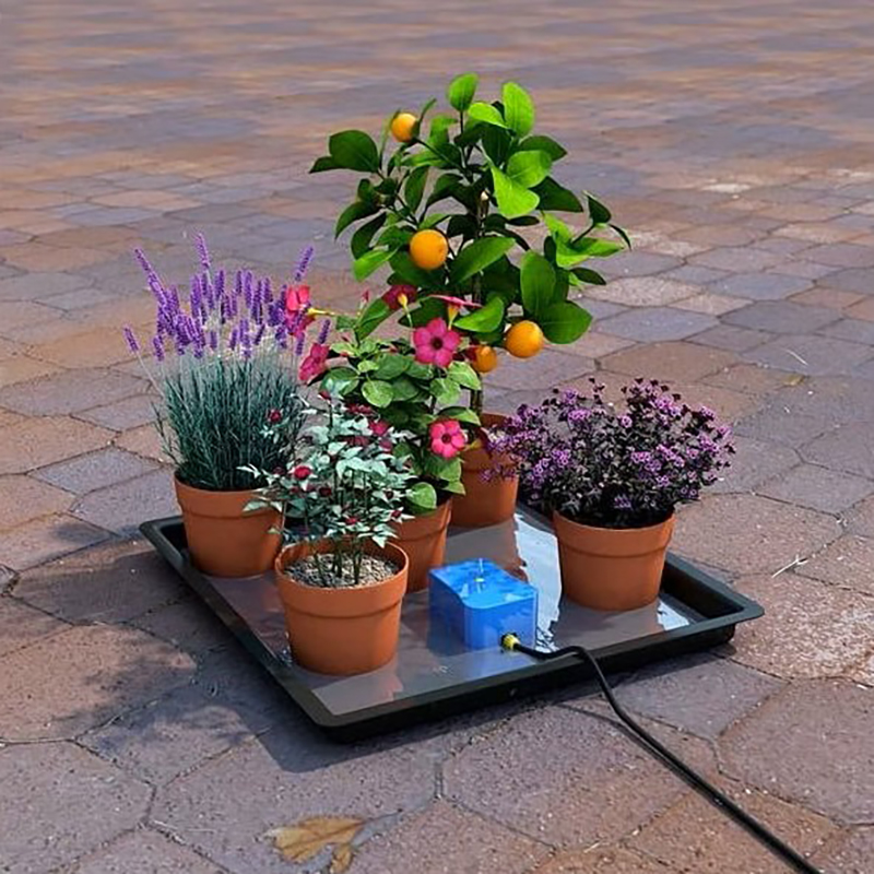 rwatersolutions's tweet image. Going on Holiday? Have you seen our new range of Automatic Watering Systems!? Introductory Offer 10% OFF!!
rainwatersolutions.co.uk/garden/irrigat…
#wateringsystem #plants #irrigation #irrigationsystem