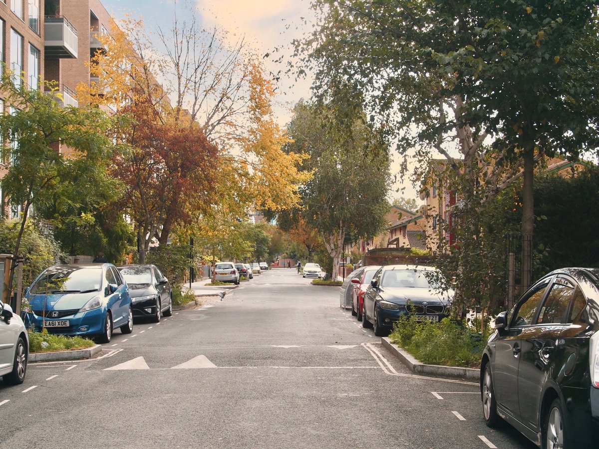 Trees for Streets tweet media