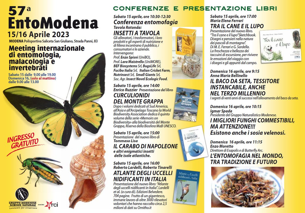 GMSN_Entomodena's tweet photo. Torna #Entomodena!
#Modena #educazione #ambiente #bambini #natura #insetti https://t.co/uoxW8FVwEF
