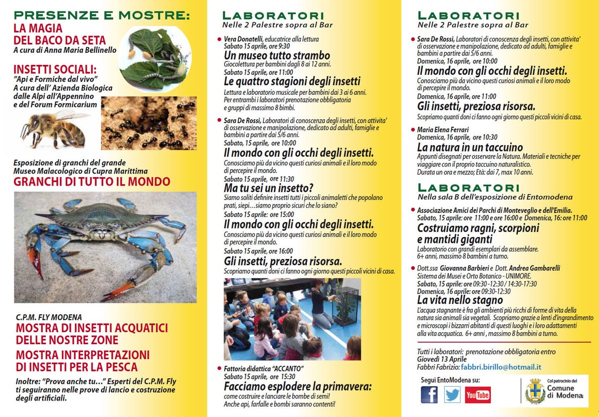 GMSN_Entomodena's tweet photo. Torna #Entomodena!
#Modena #educazione #ambiente #bambini #natura #insetti https://t.co/uoxW8FVwEF