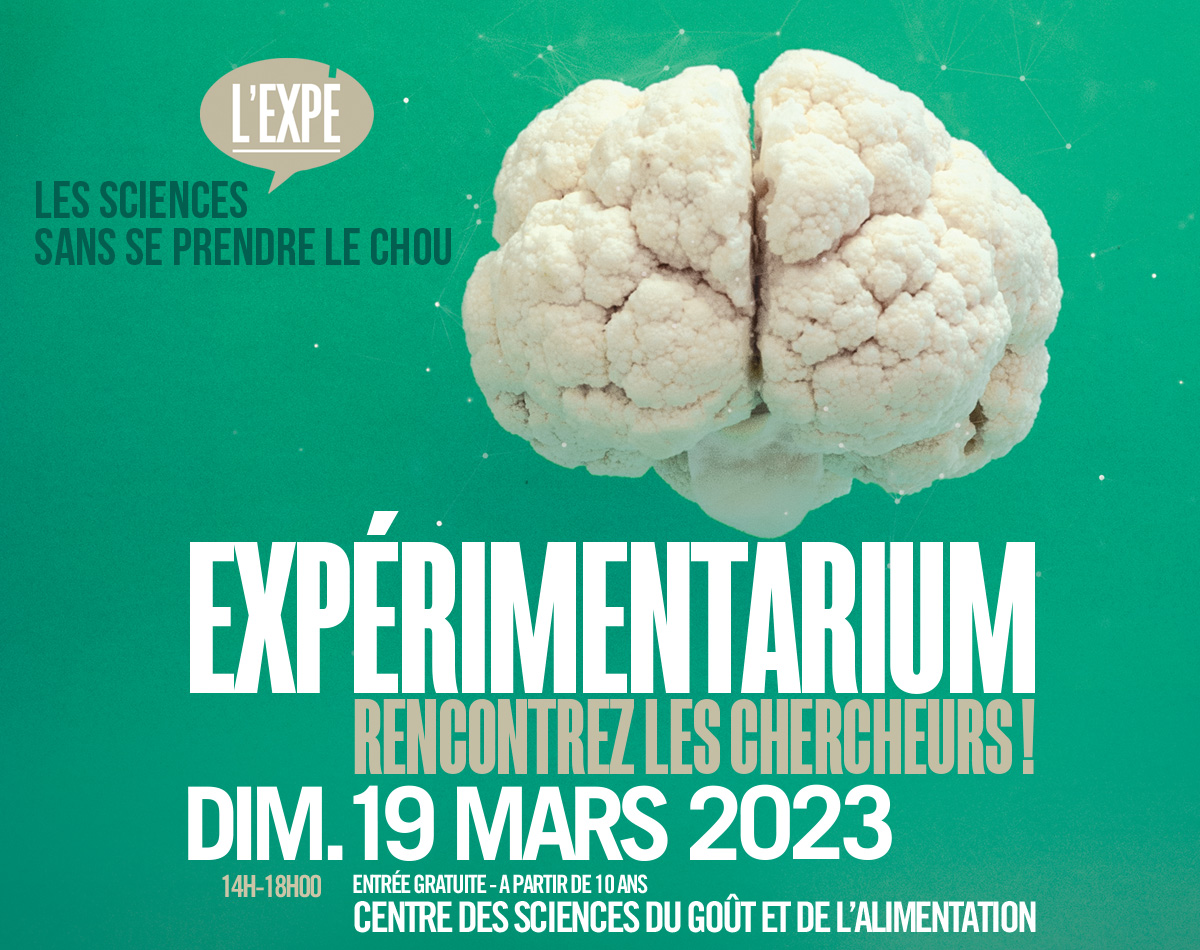 Experimentarium tweet media