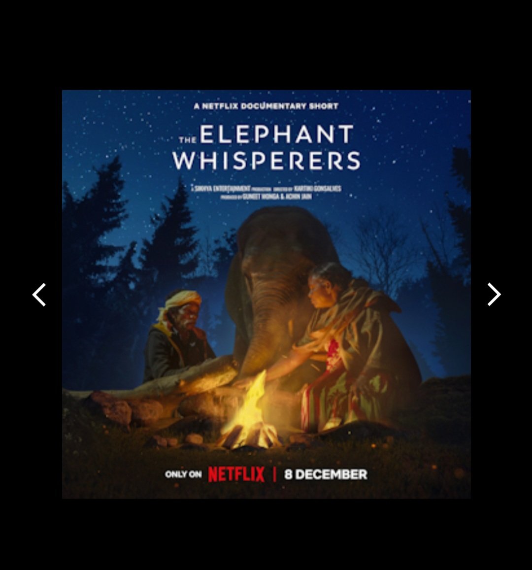 Jhimly2's tweet photo. On viewing the famed '#ElephantWhisperers' realised that it captures the human values of love, kindness,empathy, respect centered on the #mananimal bond so eloquently.
Simplicity &respect for the #forest & its wealth is a great takeway
@guneetm
@EarthSpectrum https://t.co/s41FSmtxQa