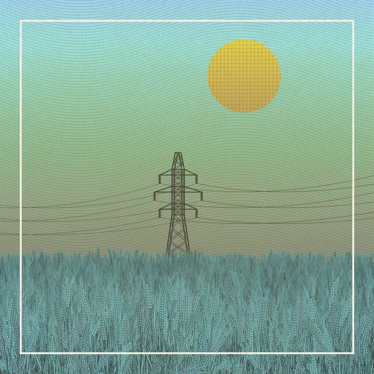 Kitel 🇺🇦 tweet media