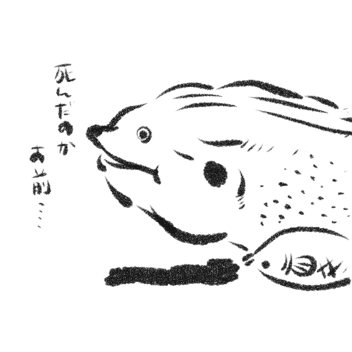 ウツボの横に切なフィッシュいたので描いた 