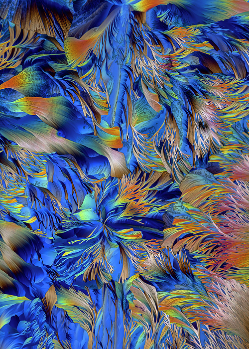 JarekBlaminsky's tweet photo. New artwork for sale! - "Under the Sea II" - https://t.co/KGZqQ1xwqb @fineartamerica https://t.co/FR2tY79fV0