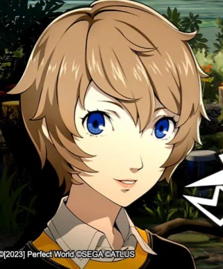 how i look with he/him pronouns in my bio 