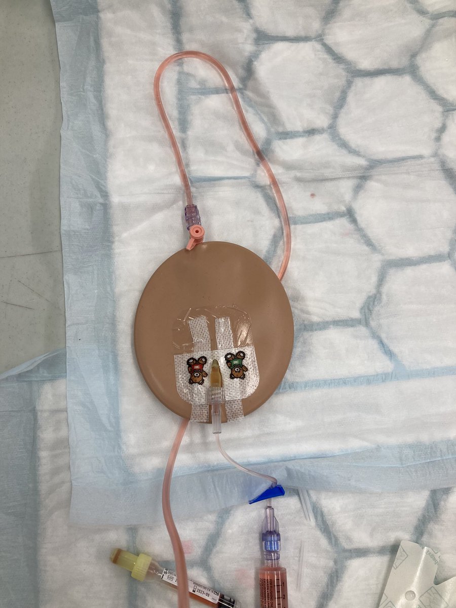 Yesterday was our Paediatric venepuncture and cannulation day. Some lovely joint teaching with the children’s hospital education team for our nurses and HCAs 👍🏼🩸💉 <a href="/WACEducationUHL/">Women’s and Children’s Education Team UHL</a> <a href="/ED_Paeds/">Leicester Royal Infirmary Children's ED</a> #UHL #LRI #nursingeducation #education #emergency