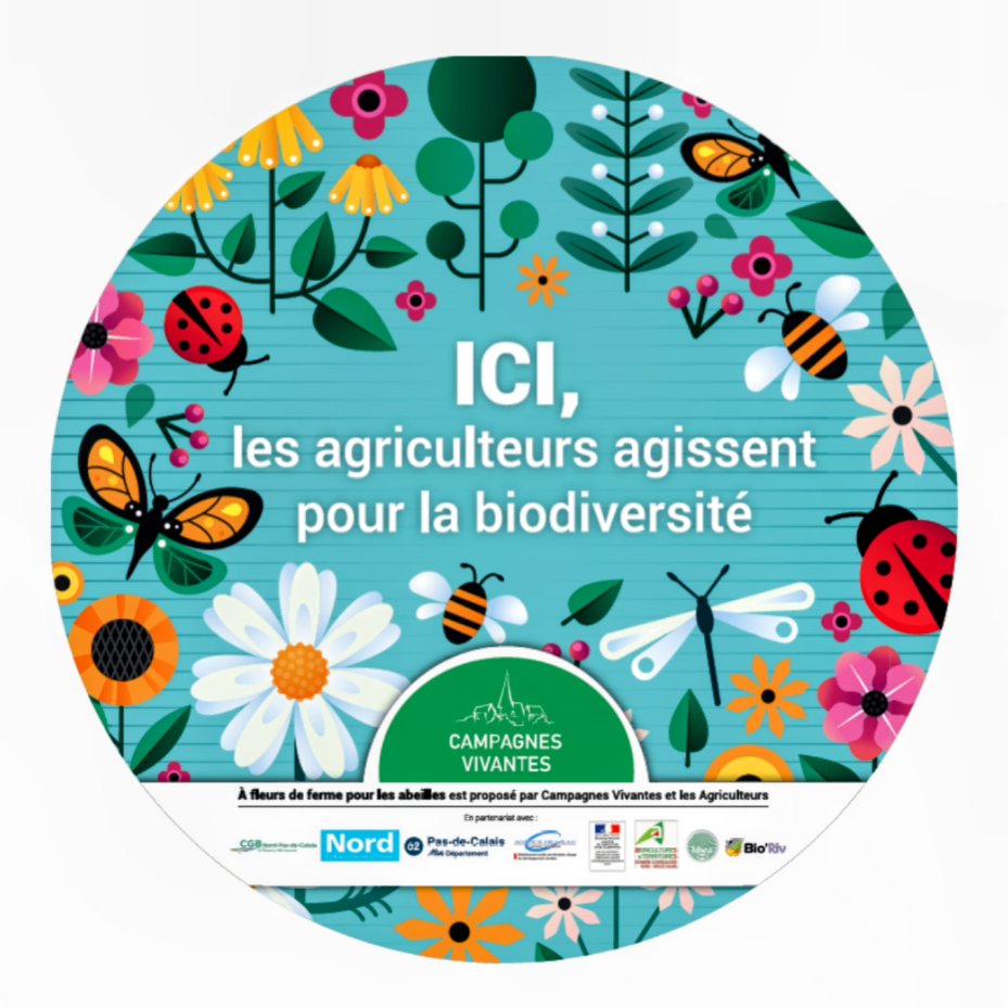 YveCtx's tweet photo. C'est parti pour l'opération "À fleurs de fermes" en partenariat avec @CampagnesV @cgb_htsdefrance @chambagri_hdf  🌼🌻🪻🏵️
Et merci à @flora_cb1 pour les conseils 👍 https://t.co/uLze8g36Pg