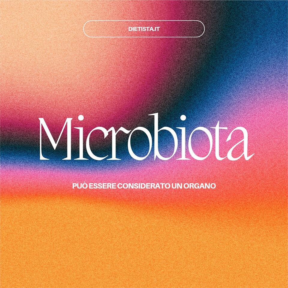 dietista's tweet photo. Il Microbiota può essere considerato un organo

Digerisce elementi essenziali
Dà un aiuto importantissimo al sistema immunitario
Produce vitamine come le B e la K
Assorbe oligominerali come il ferro, il calcio e il magnesio

Ascolta il #podcast su #spoti… https://t.co/1C26k2CZWx https://t.co/bPIWAOhH43