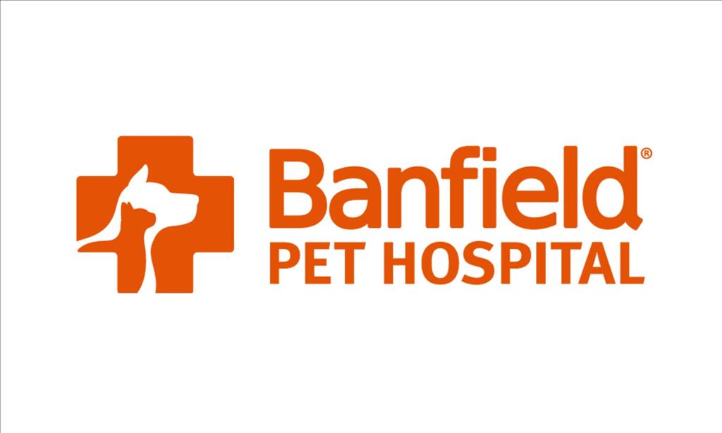 Now Hiring: Veterinarian (#RanchoSantaMargarita, California) Banfield Pet Hospital #job #DoctorofVeterinaryMedicine #DoctorofVeterinaryMedicine #PreventiveCare #Wellness #Referrals #ResearchSkills #Scheduling #Leadership go.ihire.com/csv0y